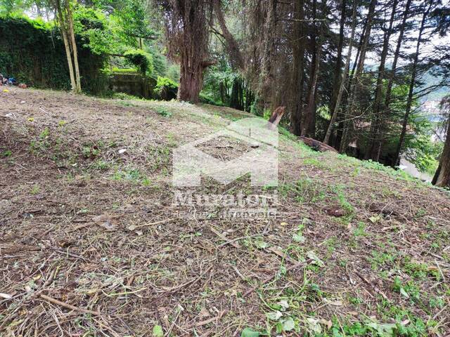 #2333 - Terreno para Venda em Campos do Jordão - SP