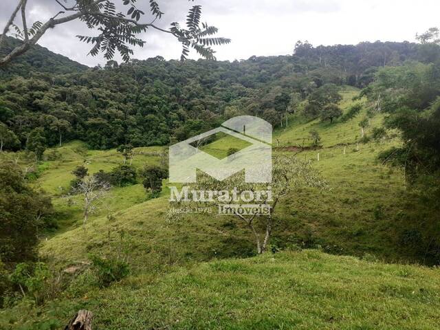 Sítio para Venda em Santo Antônio do Pinhal - 4
