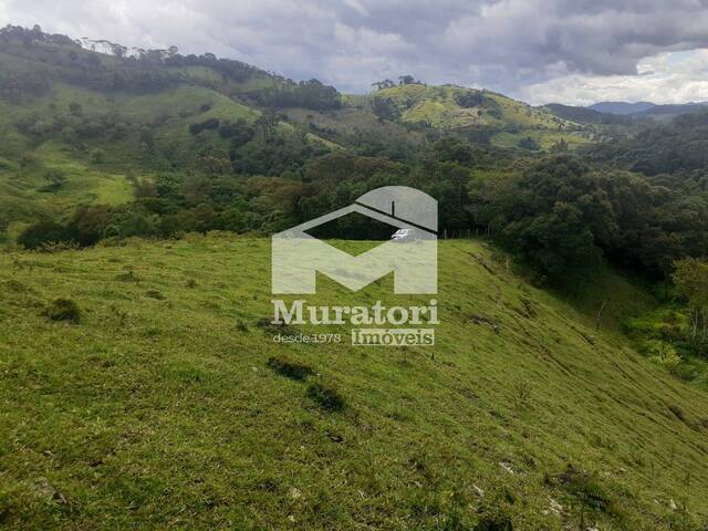 Sítio para Venda em Santo Antônio do Pinhal - 5