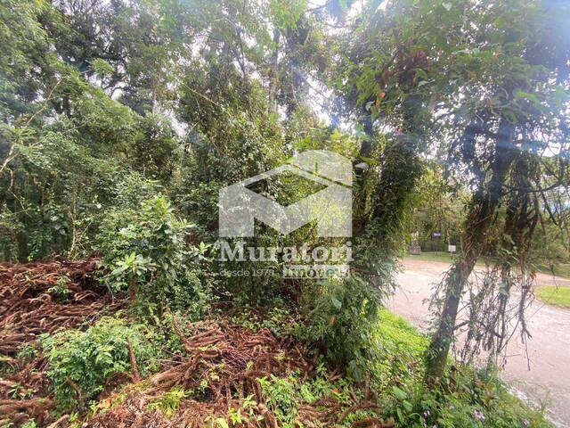 Terreno para Venda em Campos do Jordão - 4