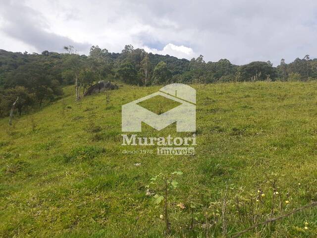 #2345 - Sítio para Venda em Santo Antônio do Pinhal - SP