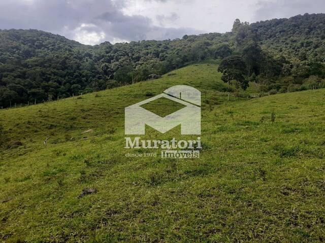 Sítio para Venda em Santo Antônio do Pinhal - 4