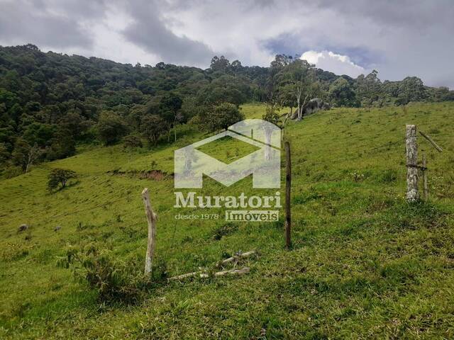 #2345 - Sítio para Venda em Santo Antônio do Pinhal - SP
