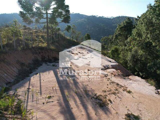 Terreno para Venda em Campos do Jordão - 4