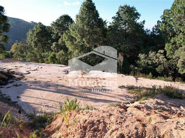 Terreno para Venda em Campos do Jordão - 5