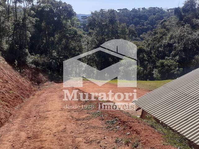 #2381 - Terreno para Venda em Campos do Jordão - SP