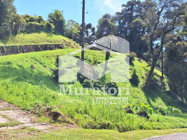 #2137 - Terreno em condomínio para Venda em Campos do Jordão - SP