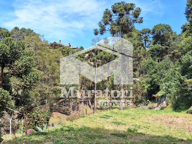 Terreno em condomínio para Venda em Campos do Jordão - 5