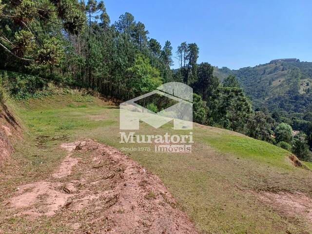 #2391 - Terreno para Venda em Campos do Jordão - SP