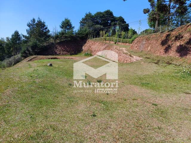 #2391 - Terreno para Venda em Campos do Jordão - SP