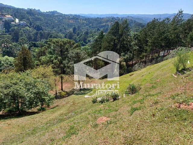Área para Incorporação para Venda em Campos do Jordão - 4