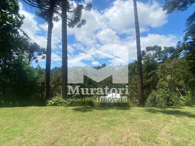 Casa para Venda em Campos do Jordão - 5