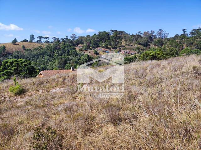 #2406 - Terreno para Venda em Campos do Jordão - SP