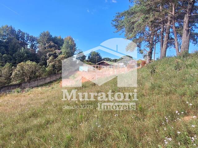 #2461 - Terreno para Venda em Campos do Jordão - SP