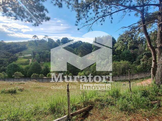 Terreno para Venda em Campos do Jordão - 4