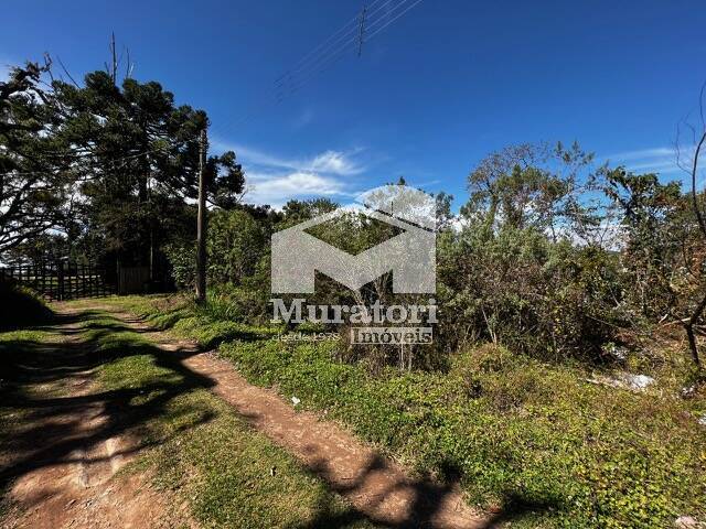 Venda em Colinas de Capivari - Campos do Jordão
