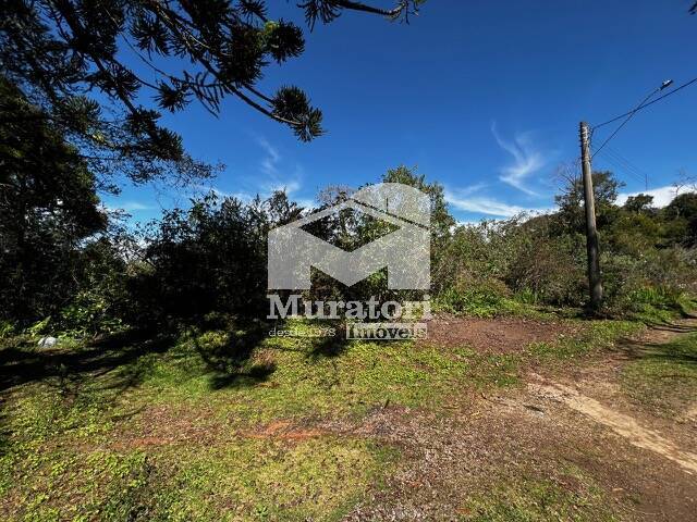 Área para Venda em Campos do Jordão - 4