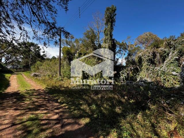 #2494 - Área para Venda em Campos do Jordão - SP