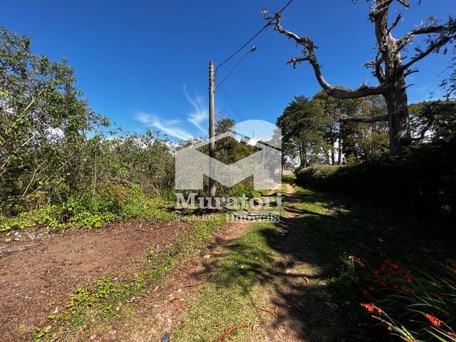 Área para Venda em Campos do Jordão - 5