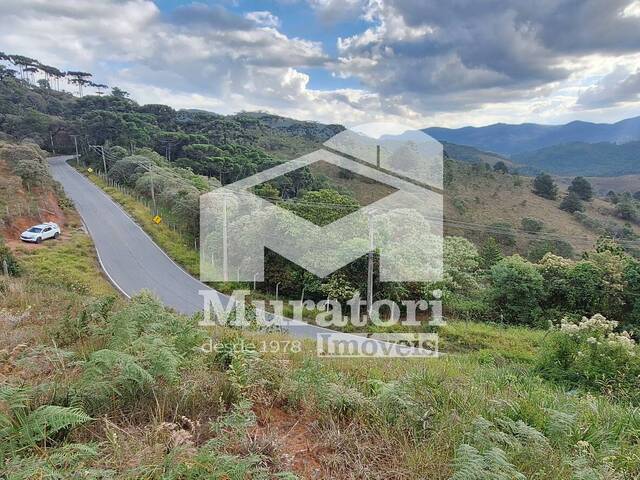 #2517 - Terreno para Venda em Campos do Jordão - SP