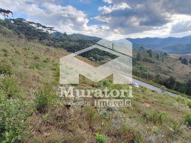 #2517 - Terreno para Venda em Campos do Jordão - SP