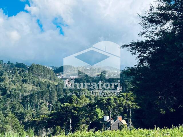 Terreno para Venda em Campos do Jordão - 4