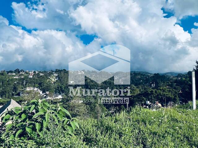 Terreno para Venda em Campos do Jordão - 5