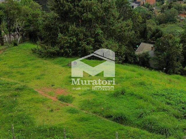 #2570 - Área para Venda em Campos do Jordão - SP