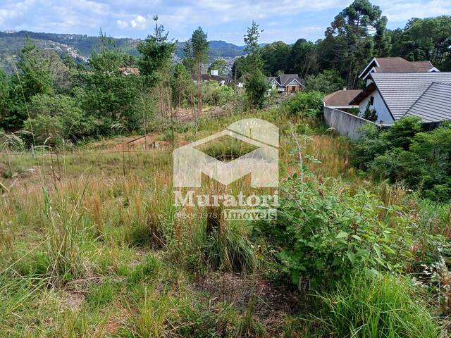 Terreno para Venda em Campos do Jordão - 4