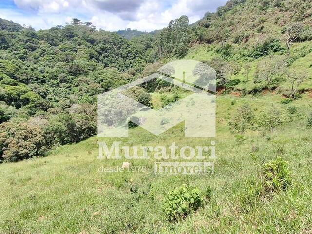 Sítio para Venda em São Bento do Sapucaí - 4