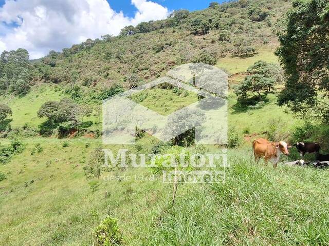 Sítio para Venda em São Bento do Sapucaí - 5