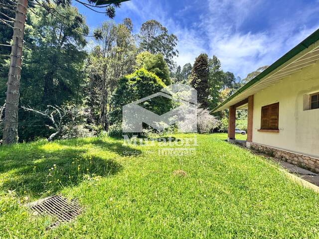 #2596 - Área para Venda em Campos do Jordão - SP