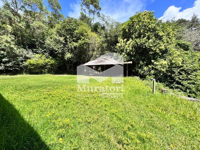 Área para Venda em Campos do Jordão - 5