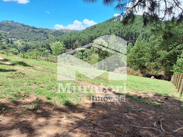 #492 - Terreno para Venda em Campos do Jordão - SP