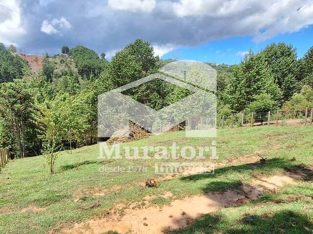 #492 - Terreno para Venda em Campos do Jordão - SP