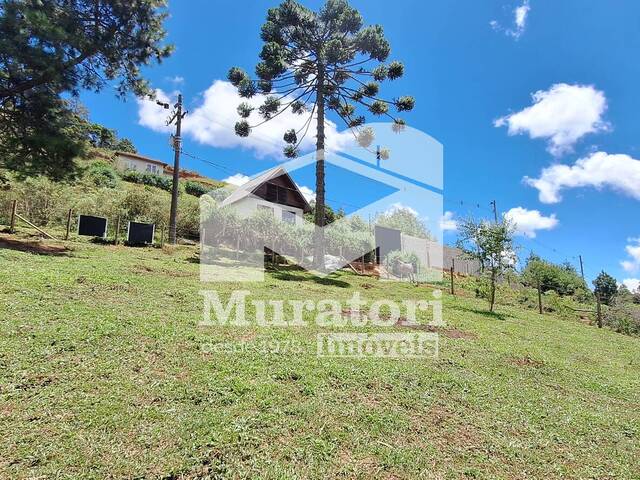 Terreno para Venda em Campos do Jordão - 4