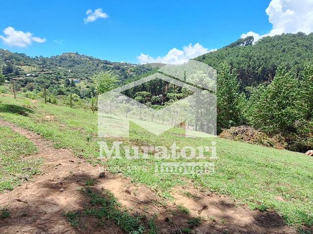 Terreno para Venda em Campos do Jordão - 5