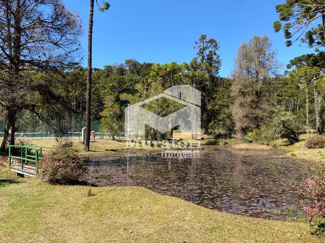 #2603 - Terreno em condomínio para Venda em Campos do Jordão - SP