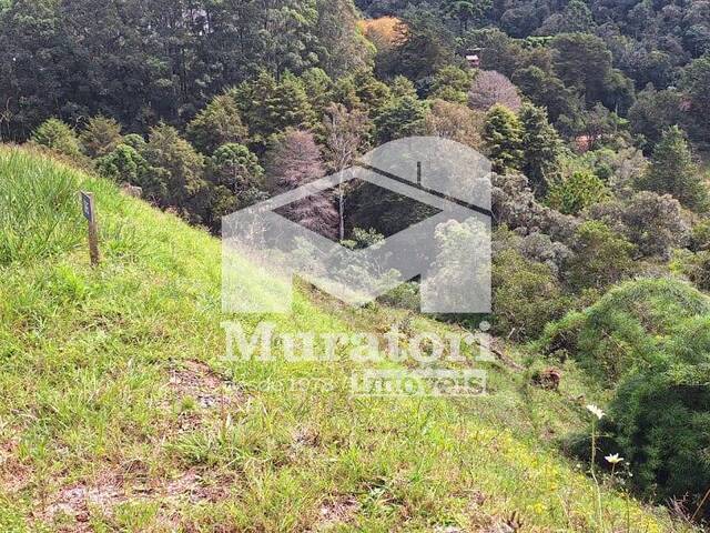 #2613 - Terreno em condomínio para Venda em Campos do Jordão - SP