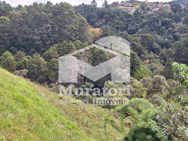 Terreno para Venda em Campos do Jordão - 4