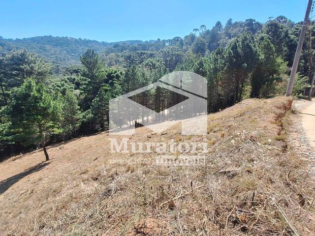 #2615 - Terreno para Venda em Campos do Jordão - SP
