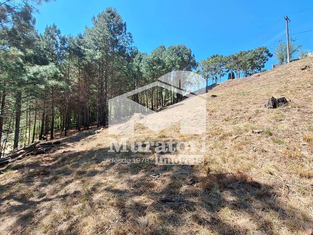 #2616 - Terreno para Venda em Campos do Jordão - SP