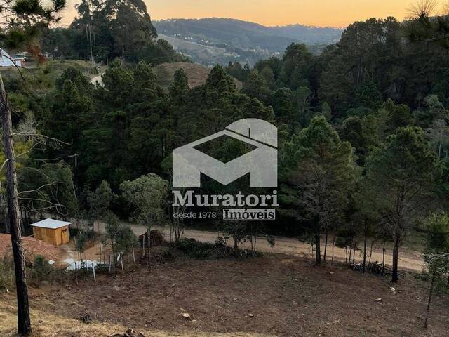 #2616 - Terreno para Venda em Campos do Jordão - SP