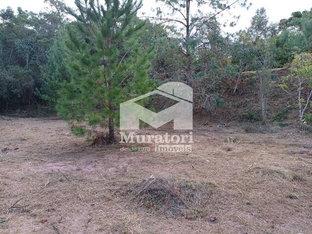 #2632 - Terreno para Venda em Campos do Jordão - SP
