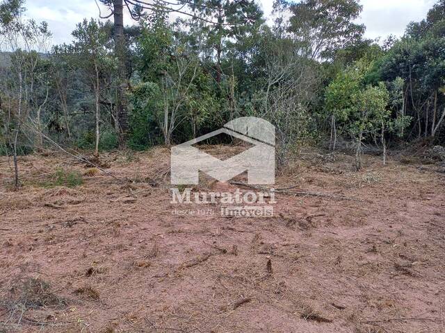 #2632 - Terreno para Venda em Campos do Jordão - SP