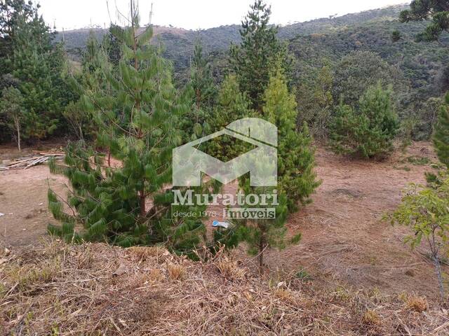 Terreno para Venda em Campos do Jordão - 4