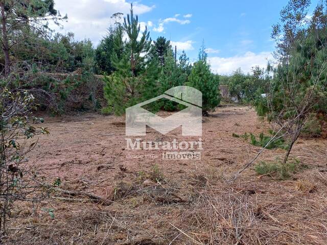#2632 - Terreno para Venda em Campos do Jordão - SP