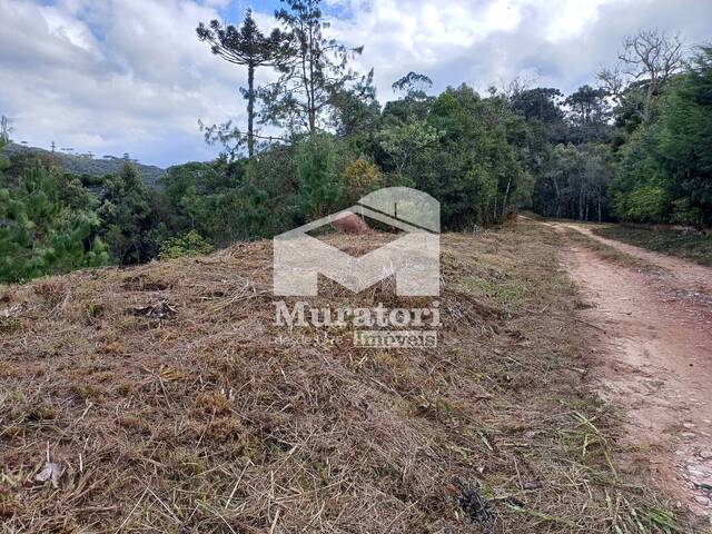 Terreno para Venda em Campos do Jordão - 5