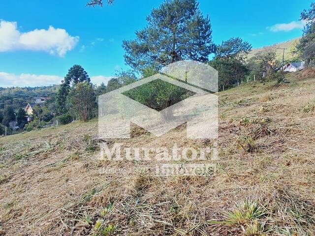 Terreno para Venda em Campos do Jordão - 5