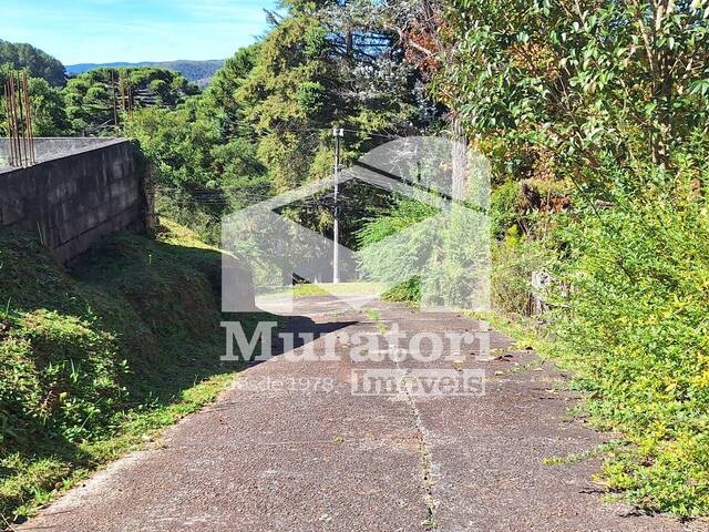 #2634 - Terreno para Venda em Campos do Jordão - SP
